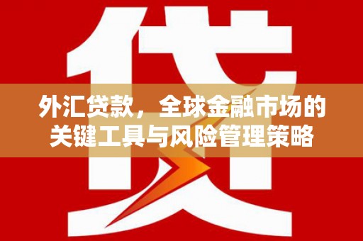 阳高外汇贷款，全球金融市场的关键工具与风险管理策略