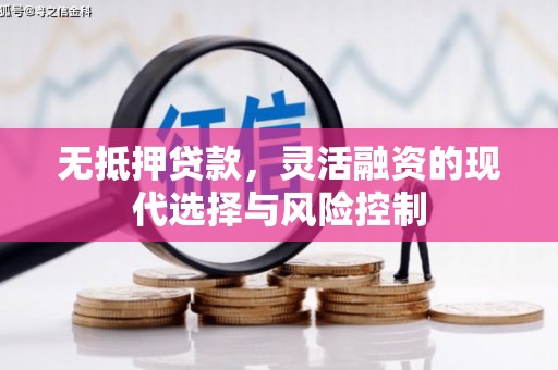 郁南无抵押贷款，灵活融资的现代选择与风险控制
