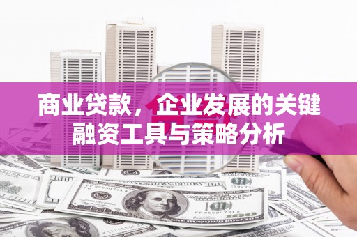 涿鹿商业贷款，企业发展的关键融资工具与策略分析