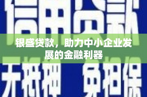 丰县银盛贷款，助力中小企业发展的金融利器