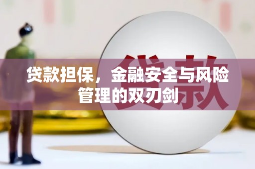 田林贷款担保，金融安全与风险管理的双刃剑