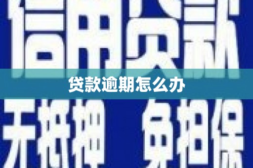 边坝贷款逾期怎么办