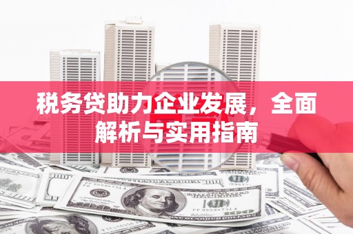 新界税务贷助力企业发展，全面解析与实用指南