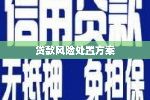 滴道贷款风险处置方案
