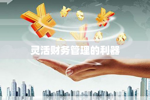 惠山灵活财务管理的利器