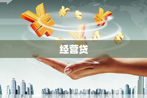 港南经营贷