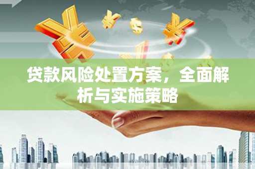 巴塘贷款风险处置方案，全面解析与实施策略
