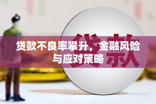 兴宾贷款不良率攀升，金融风险与应对策略
