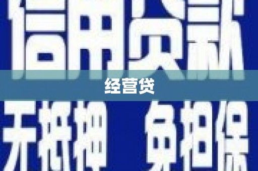 车城经营贷